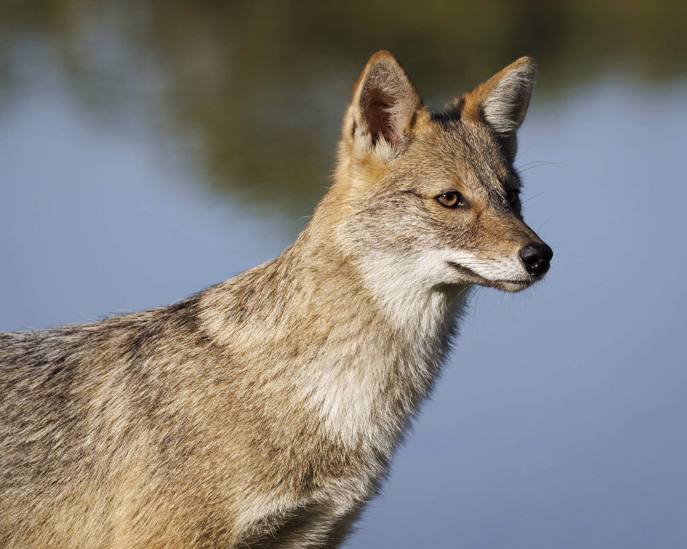 20211108-November 08, 2021-081931-081931-Edit.jpg